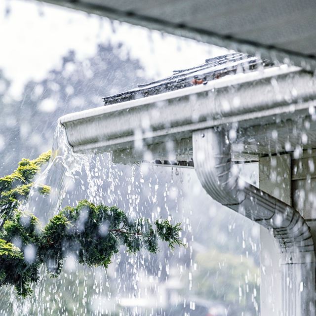 Regn på tag